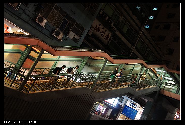 nEO_IMG_DSC03950.jpg