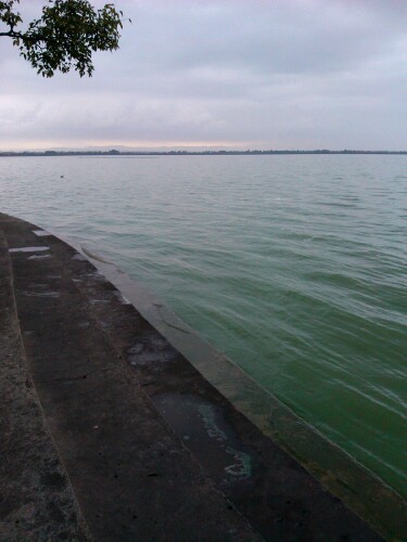 IMG20120908073916.jpg