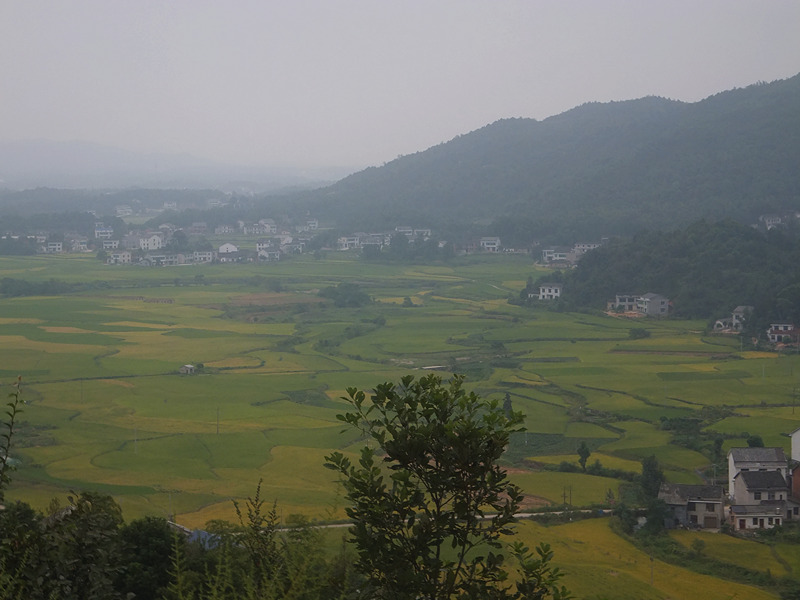 DSCF4652_����.jpg