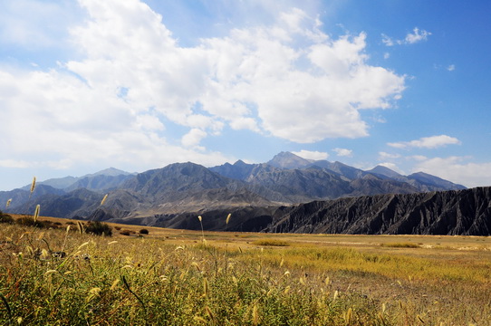 DSC_4302.JPG