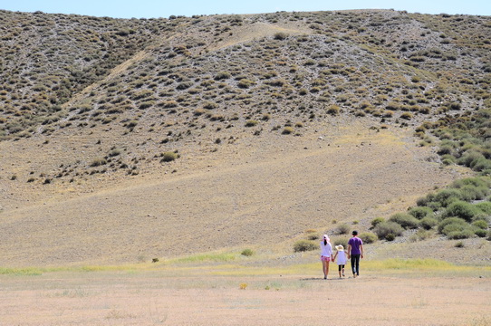 DSC_4366.JPG