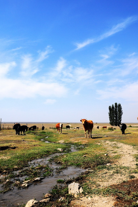 DSC_4410.JPG