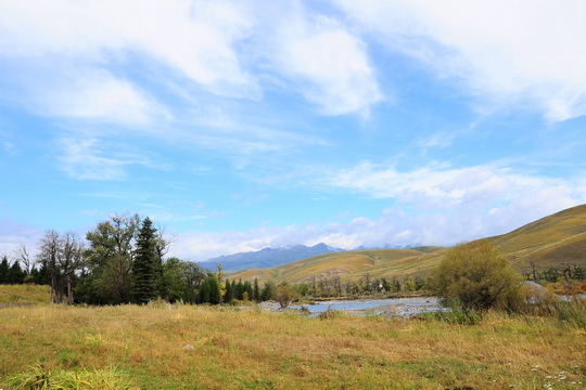 DSC_4684.JPG