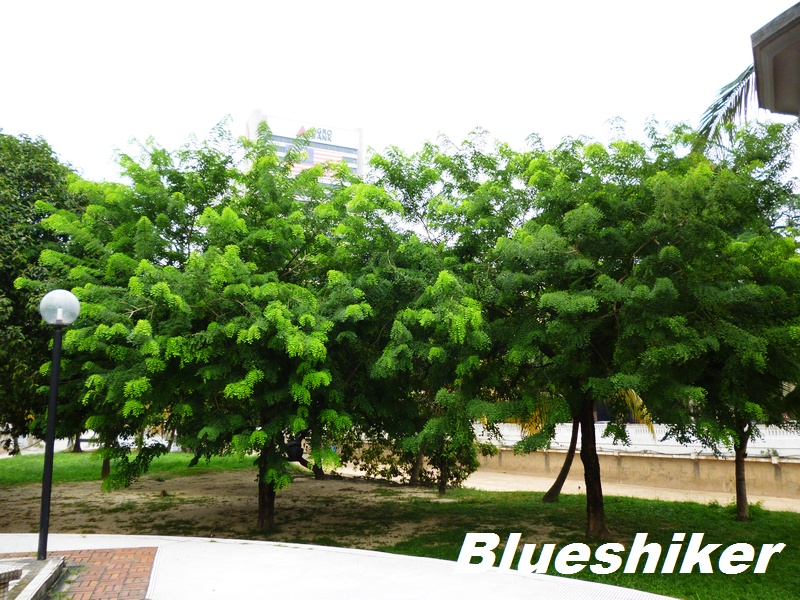P1010107.jpg