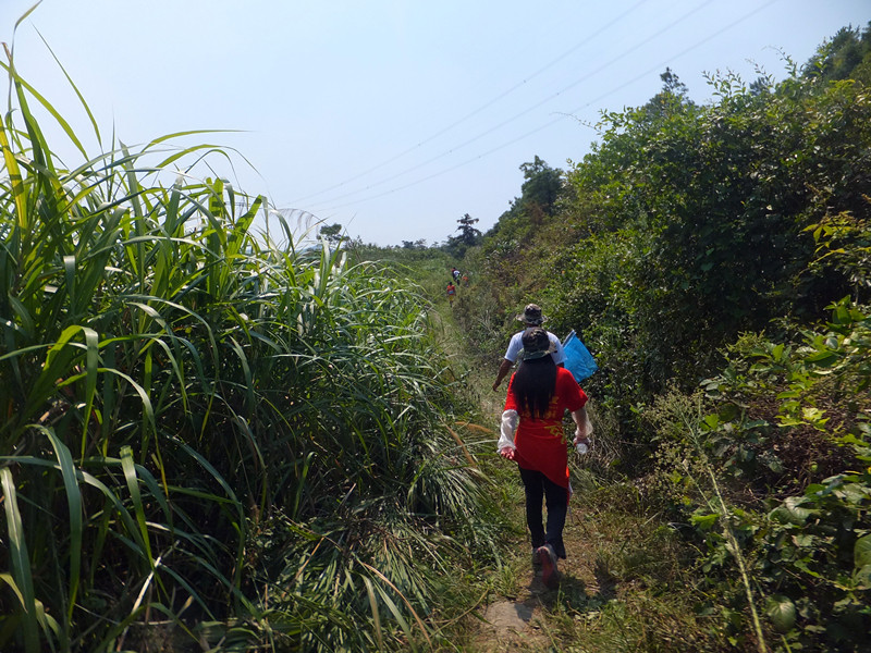 DSCF5236_����.jpg