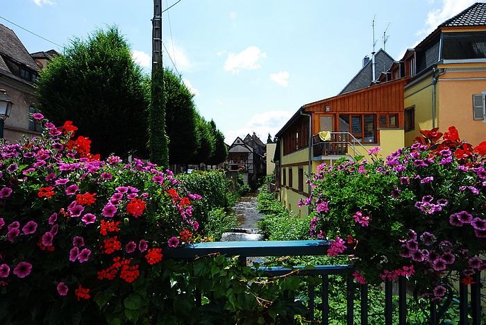 DSC_3170.jpg