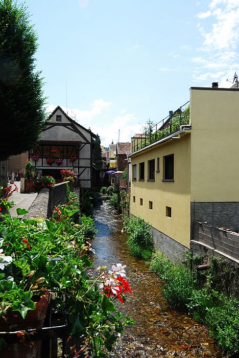 DSC_3160.jpg