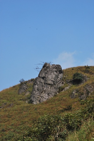 ��ɽկ-��ŮϪ�״� 520.jpg