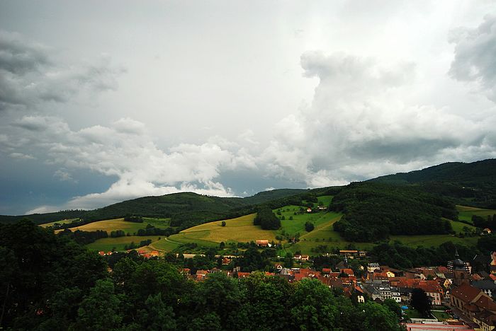 DSC_3584.jpg
