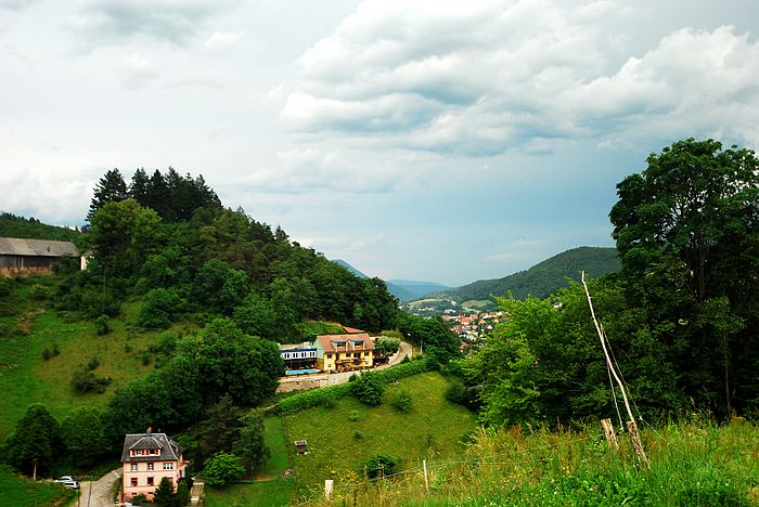 DSC_3593.jpg