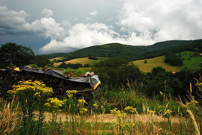 DSC_3601.jpg