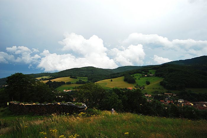 DSC_3622.jpg