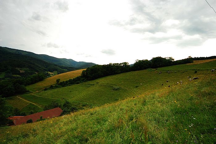 DSC_3654.jpg