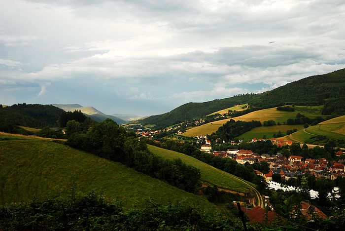 DSC_3716.jpg