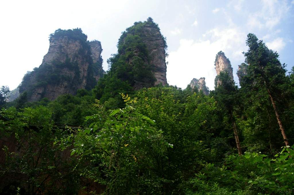 conew_imgp2202.jpg