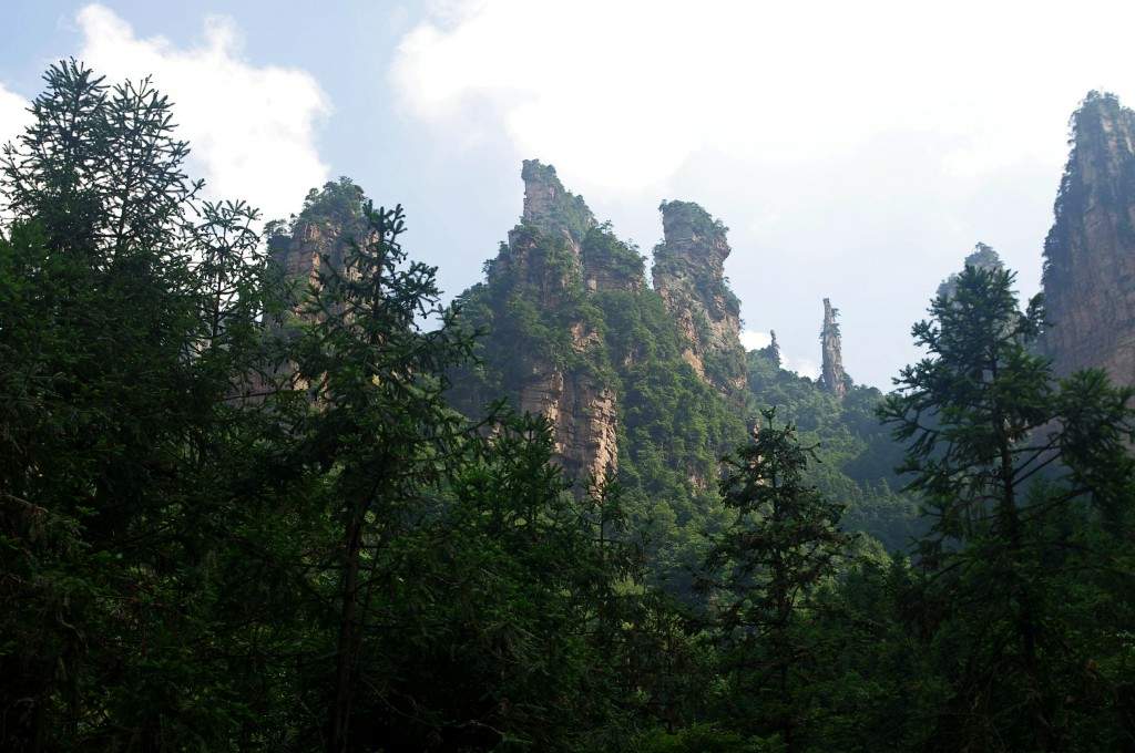 conew_imgp2205.jpg