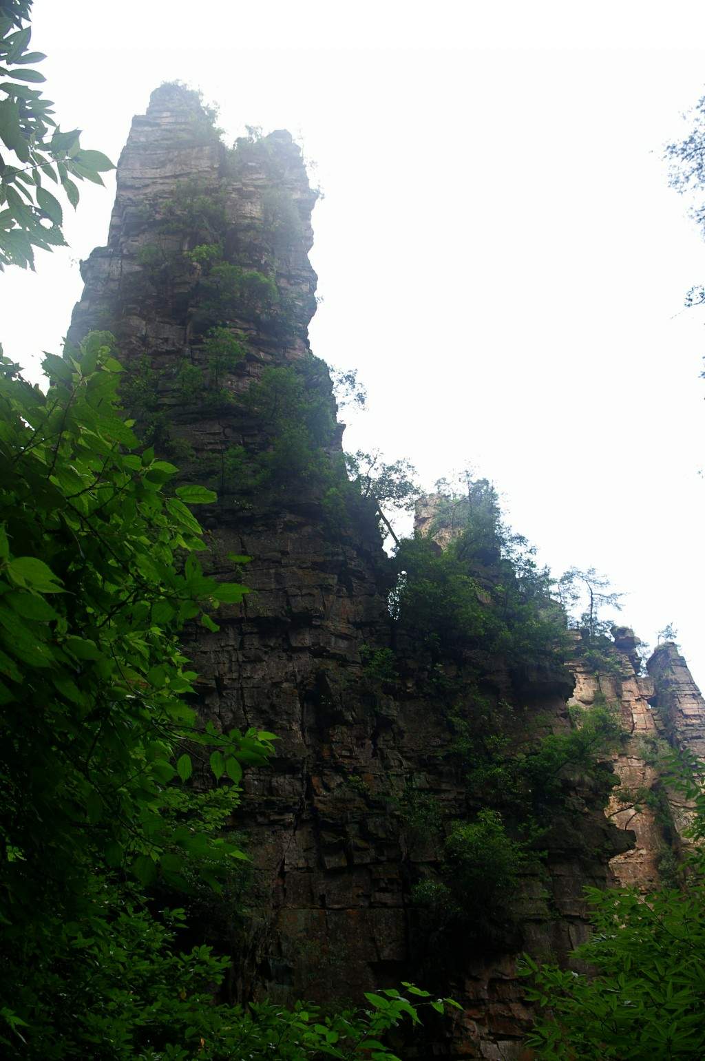 conew_imgp2223.jpg