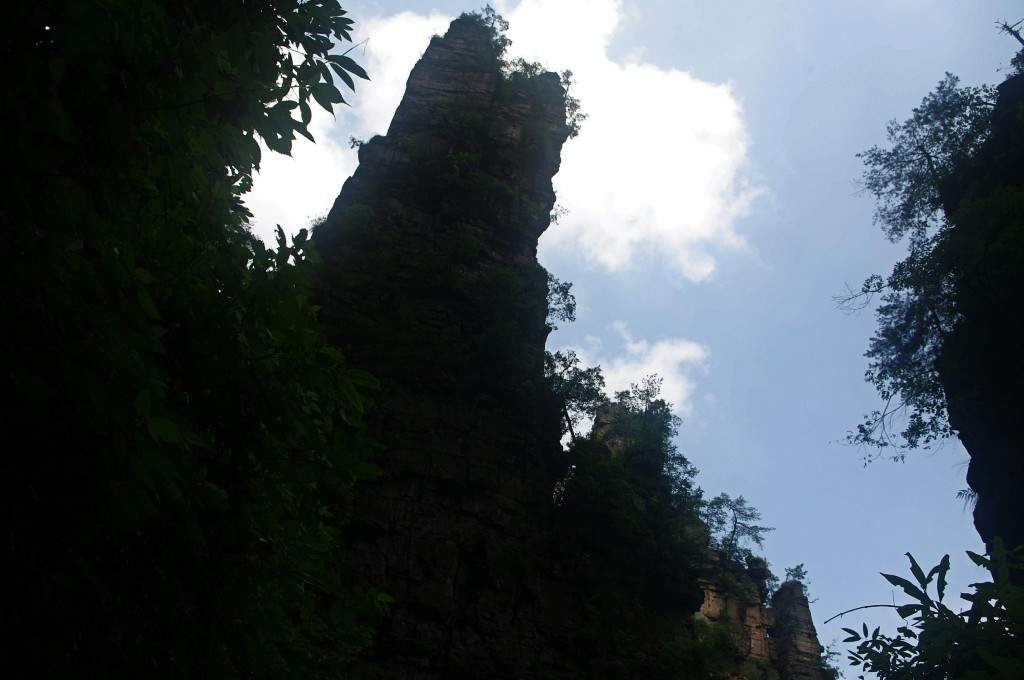 conew_imgp2224.jpg