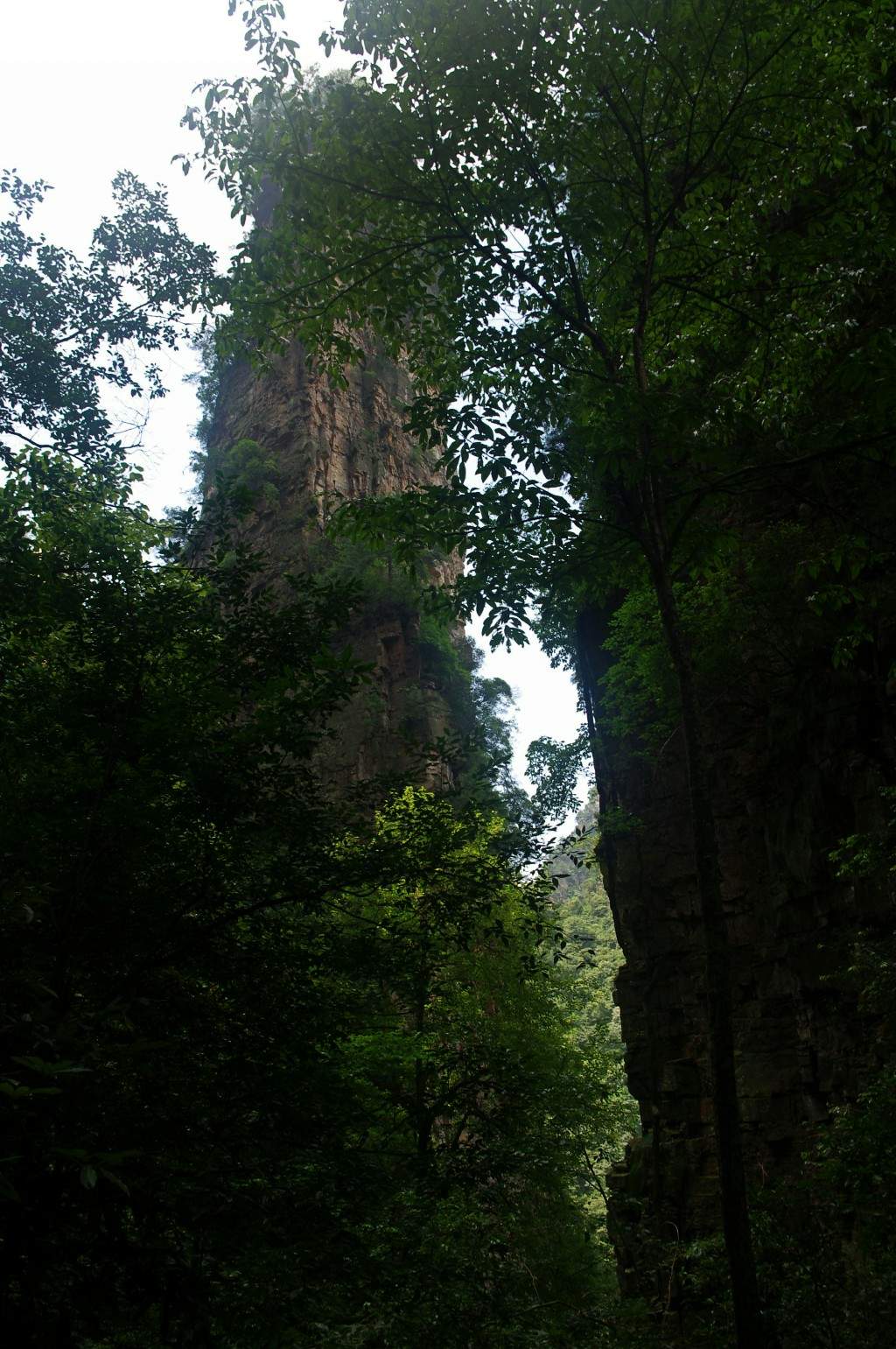 conew_imgp2219.jpg