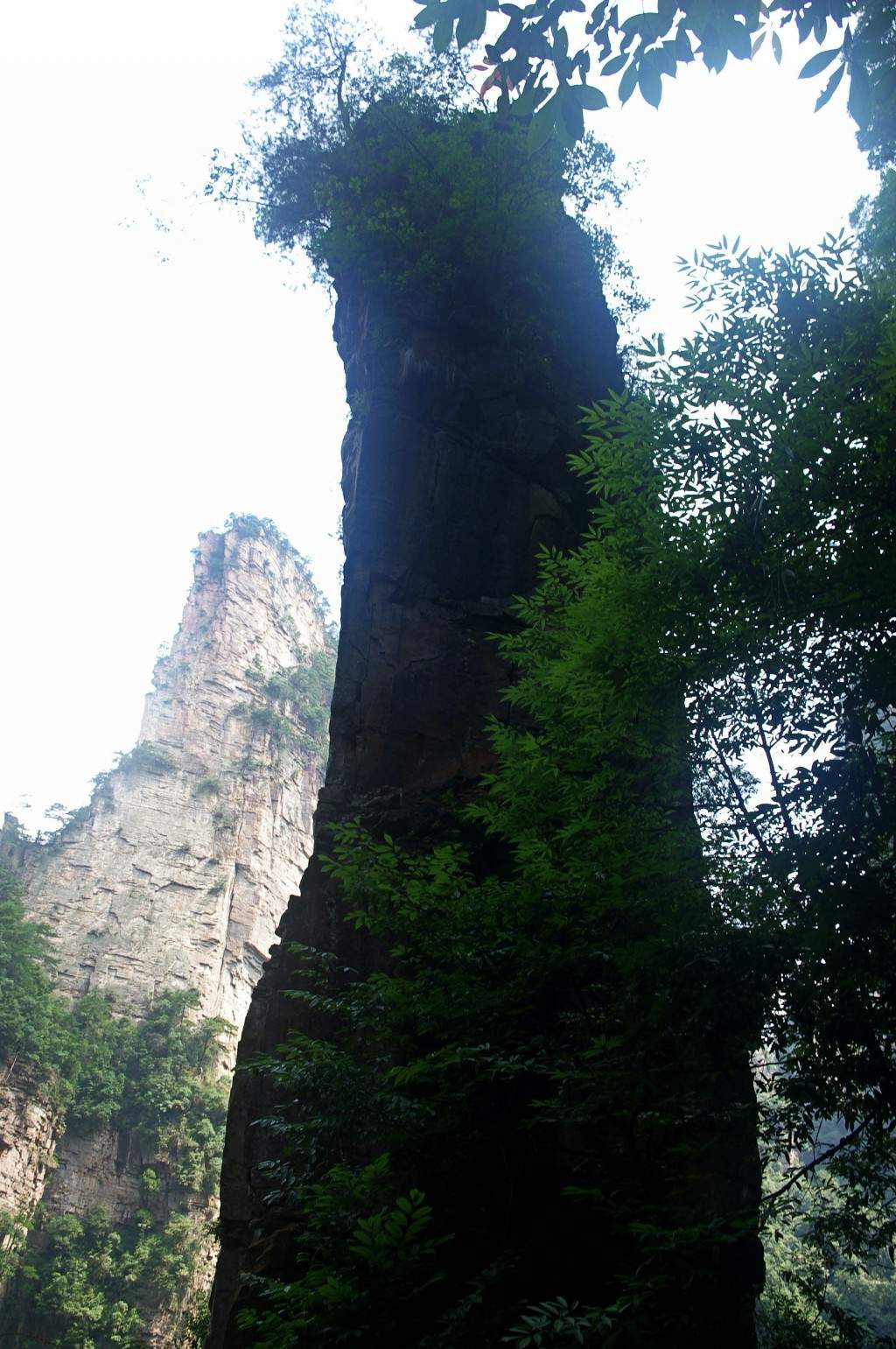 conew_imgp2227.jpg