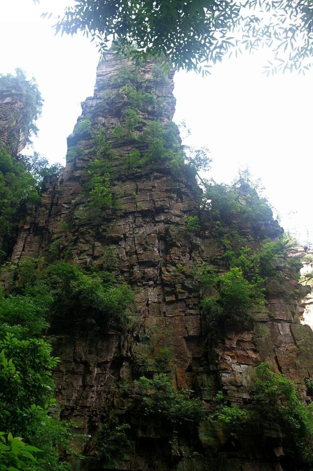 conew_imgp2229.jpg