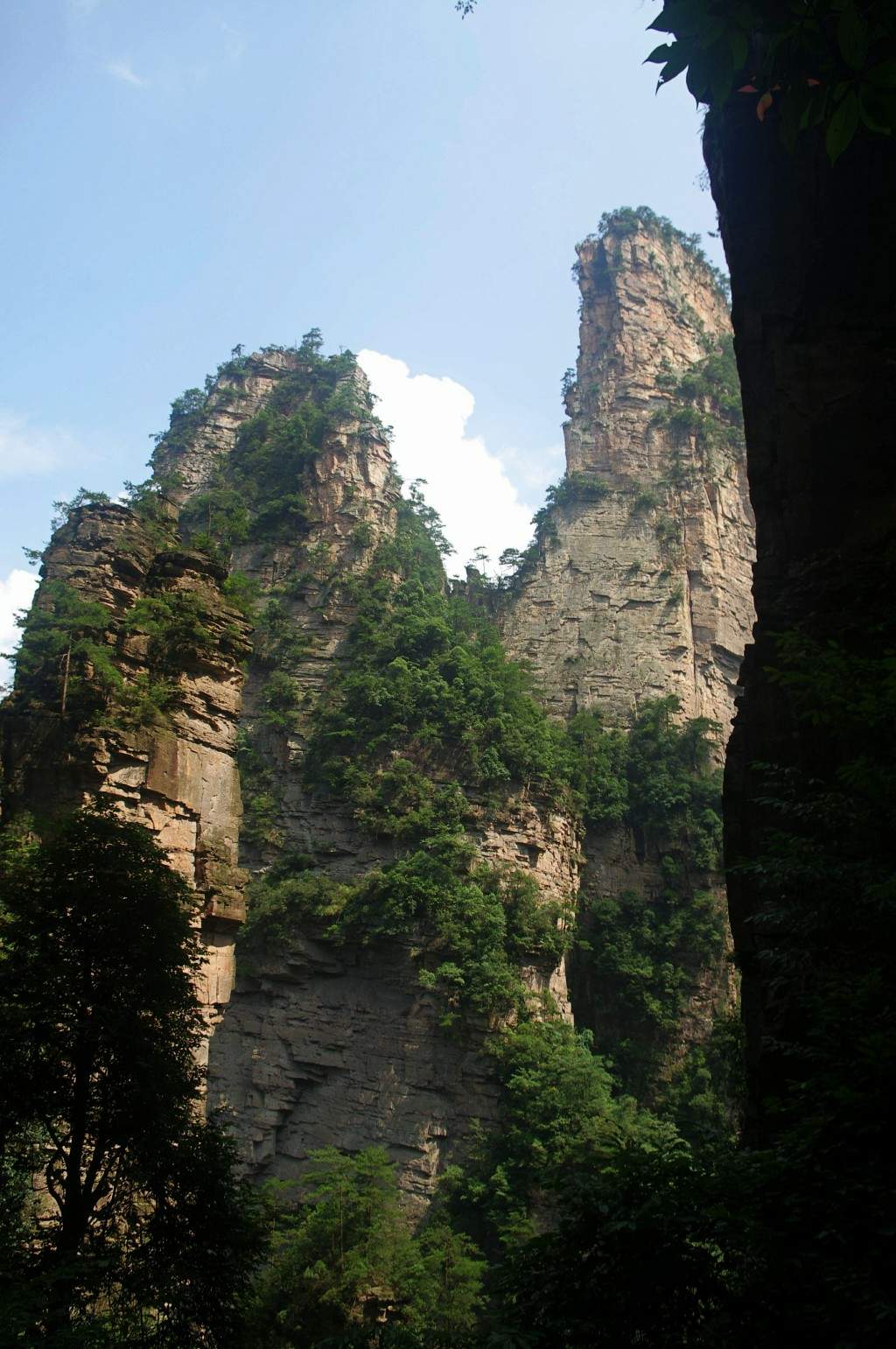 conew_imgp2231.jpg
