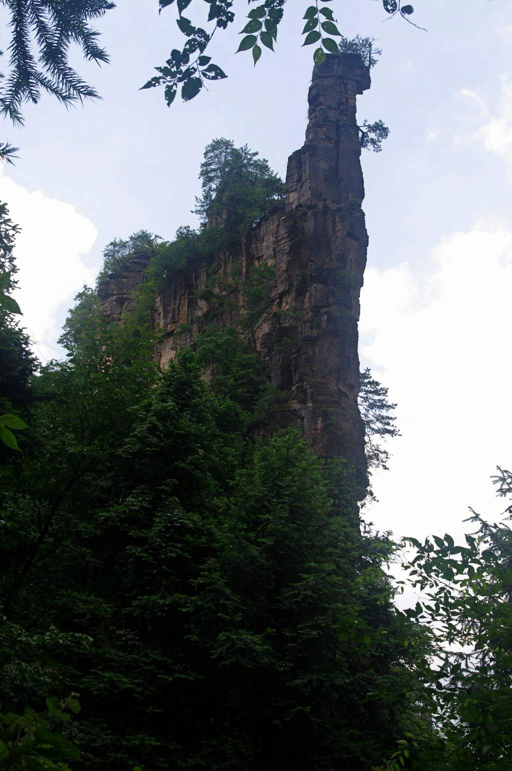 conew_imgp2250.jpg