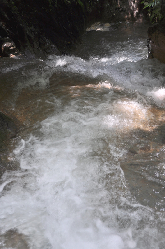 �ι�����˷ 1184.jpg