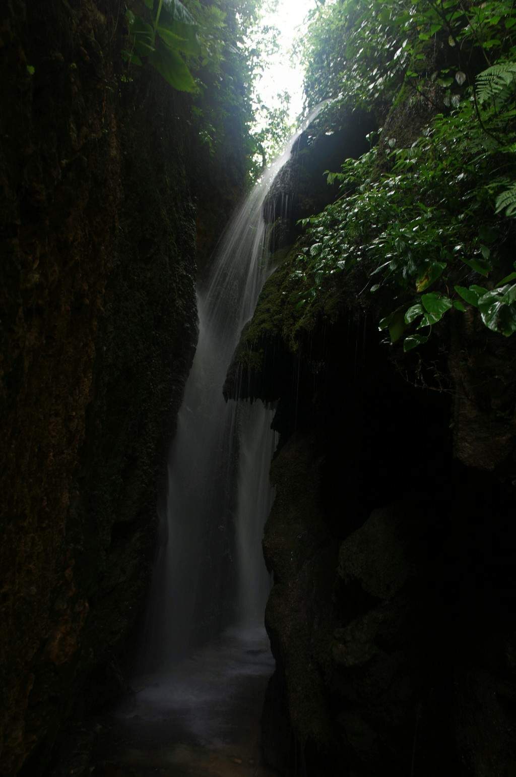 conew_imgp2515.jpg