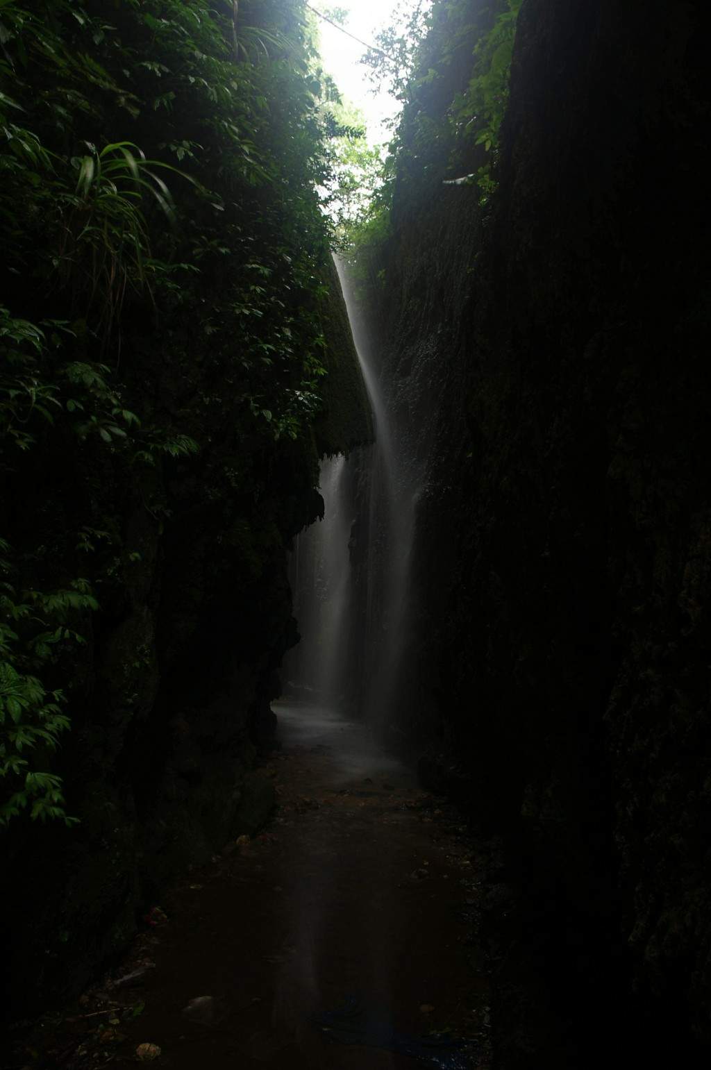 conew_imgp2516.jpg