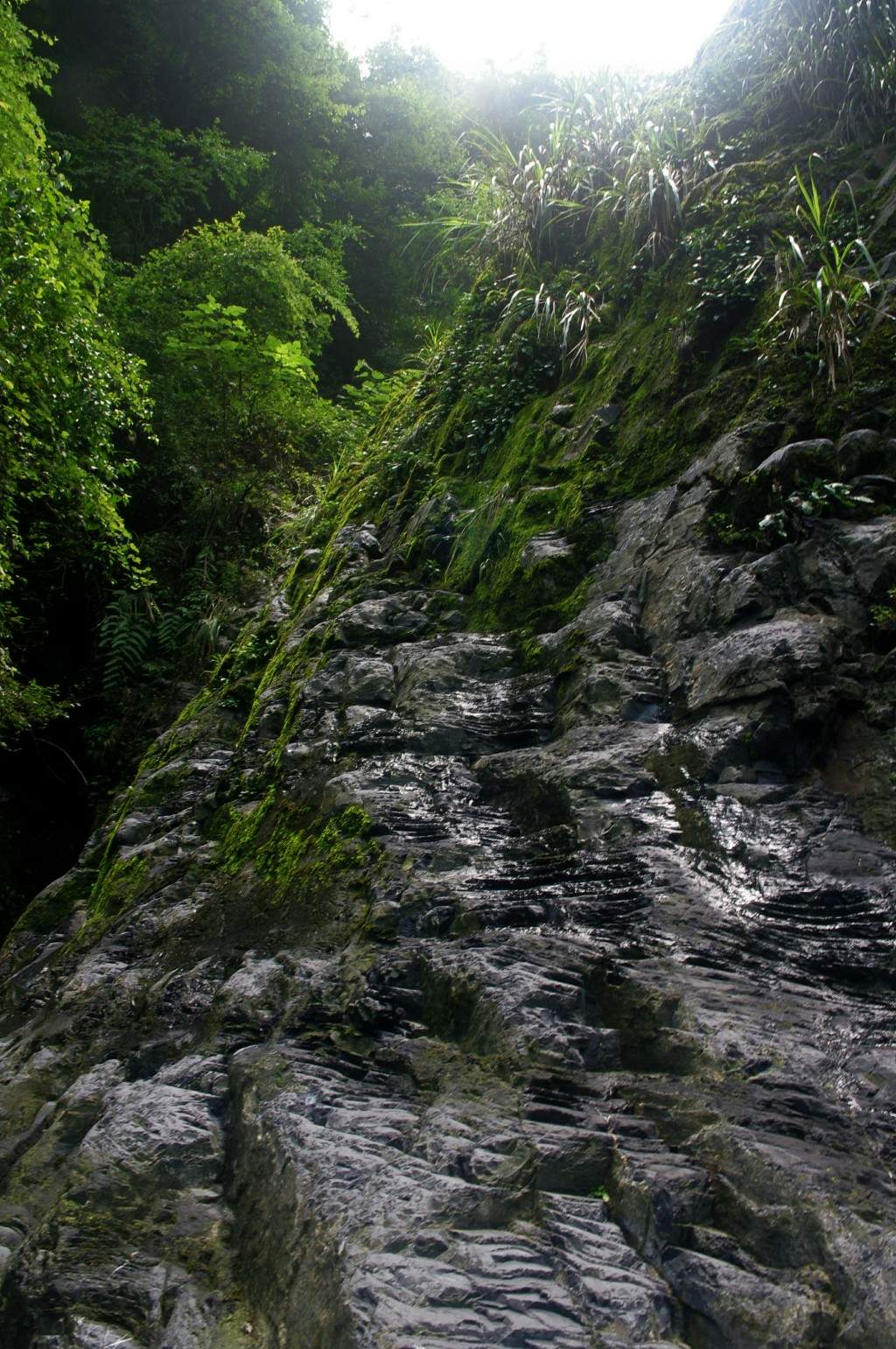 conew_imgp2690.jpg