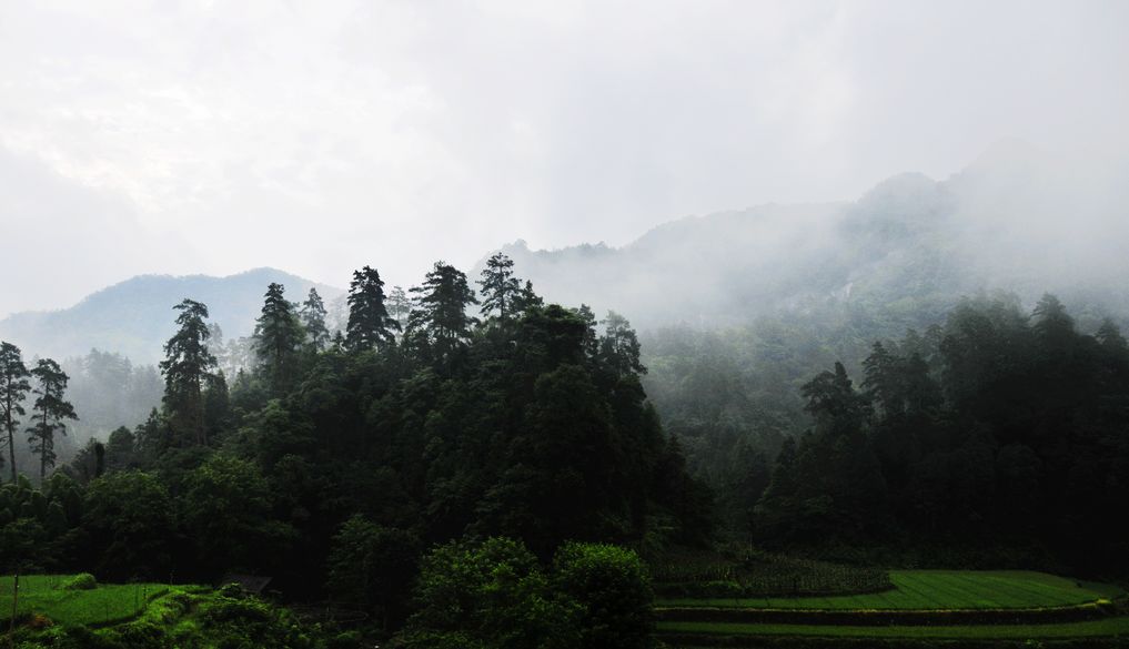_DSC0018.jpg
