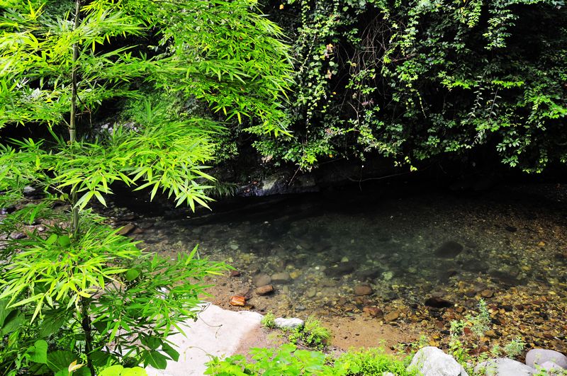 _DSC9604.jpg