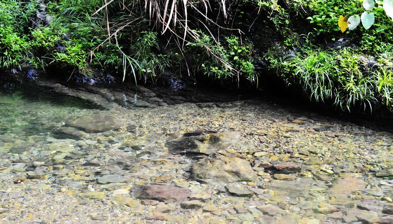 _DSC9623.jpg