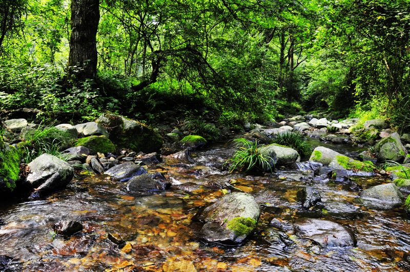 _DSC9678.jpg