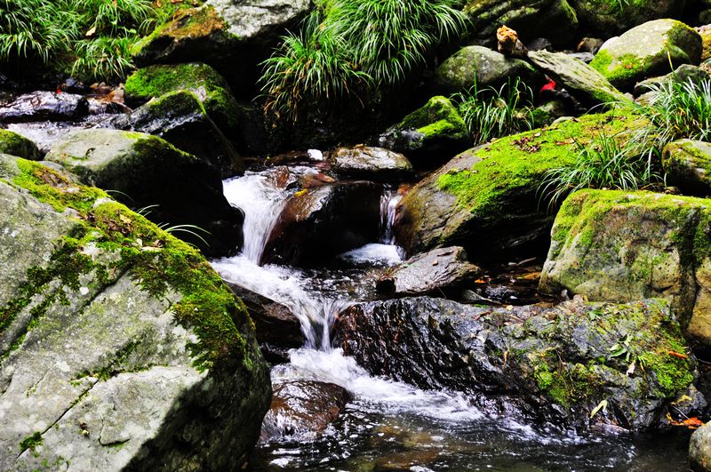_DSC9713.jpg
