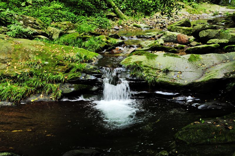 _DSC9721.jpg