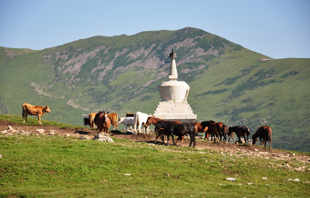 DSC_0152_������С.jpg