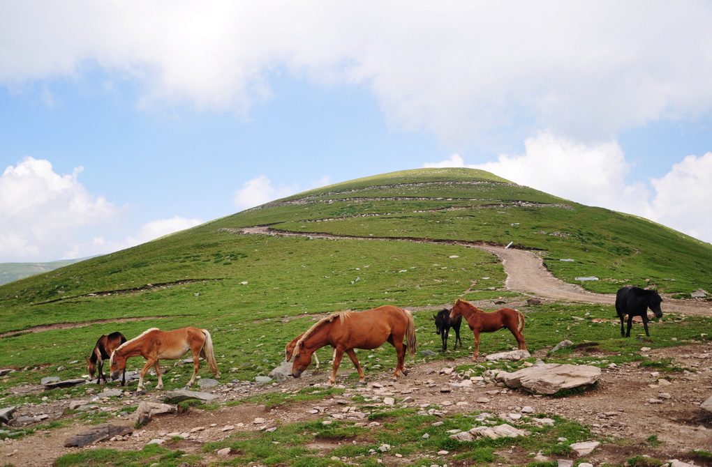 DSC_0239_������С.jpg