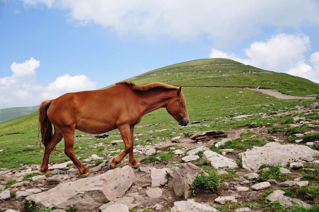 DSC_0244_������С.jpg