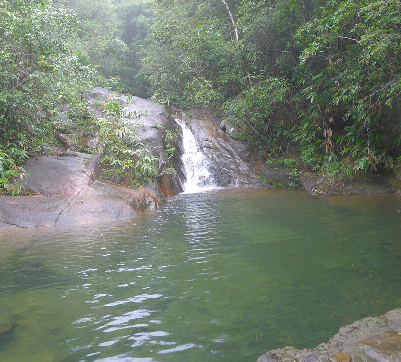 P1000115.jpg
