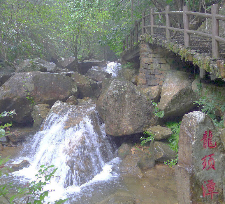 P1000125.jpg