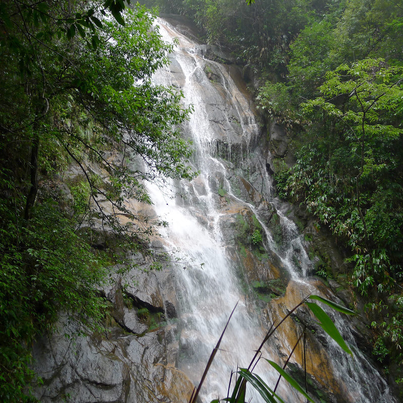 P1000128.jpg