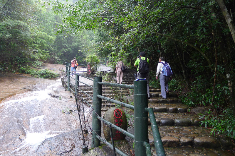 P1000100.jpg