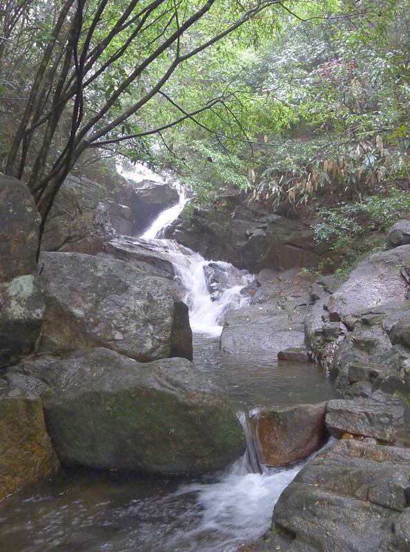 P1000102.jpg