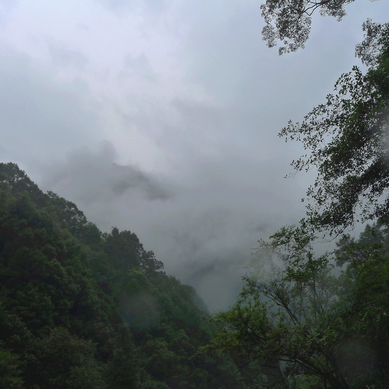 P1000111.jpg