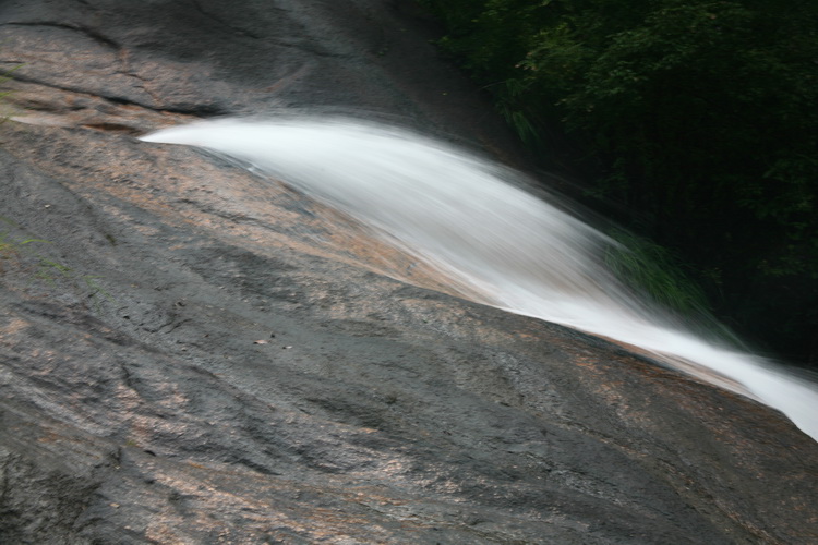 IMG_1425.JPG