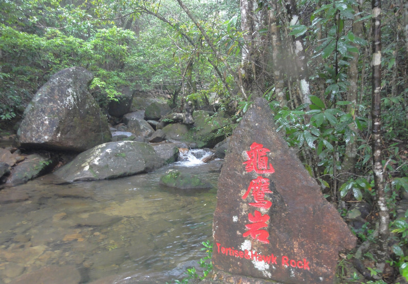 DSC02257.jpg