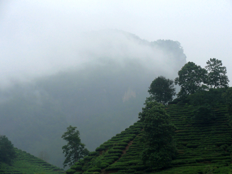 DSC02211.jpg