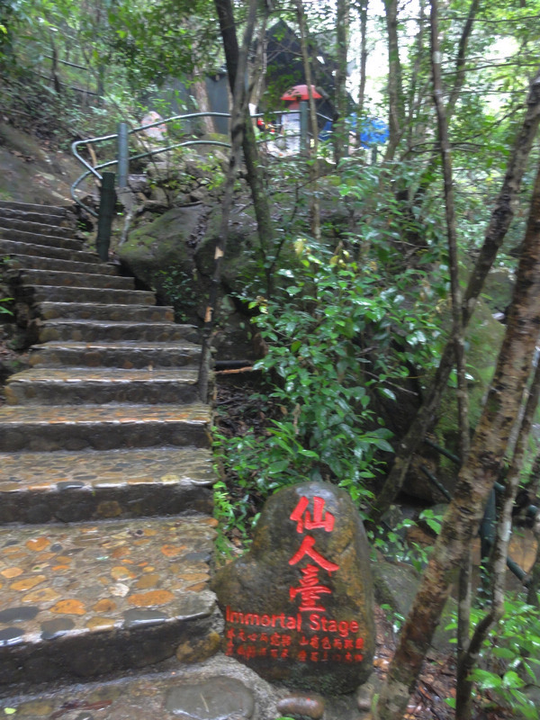 DSC02278.jpg